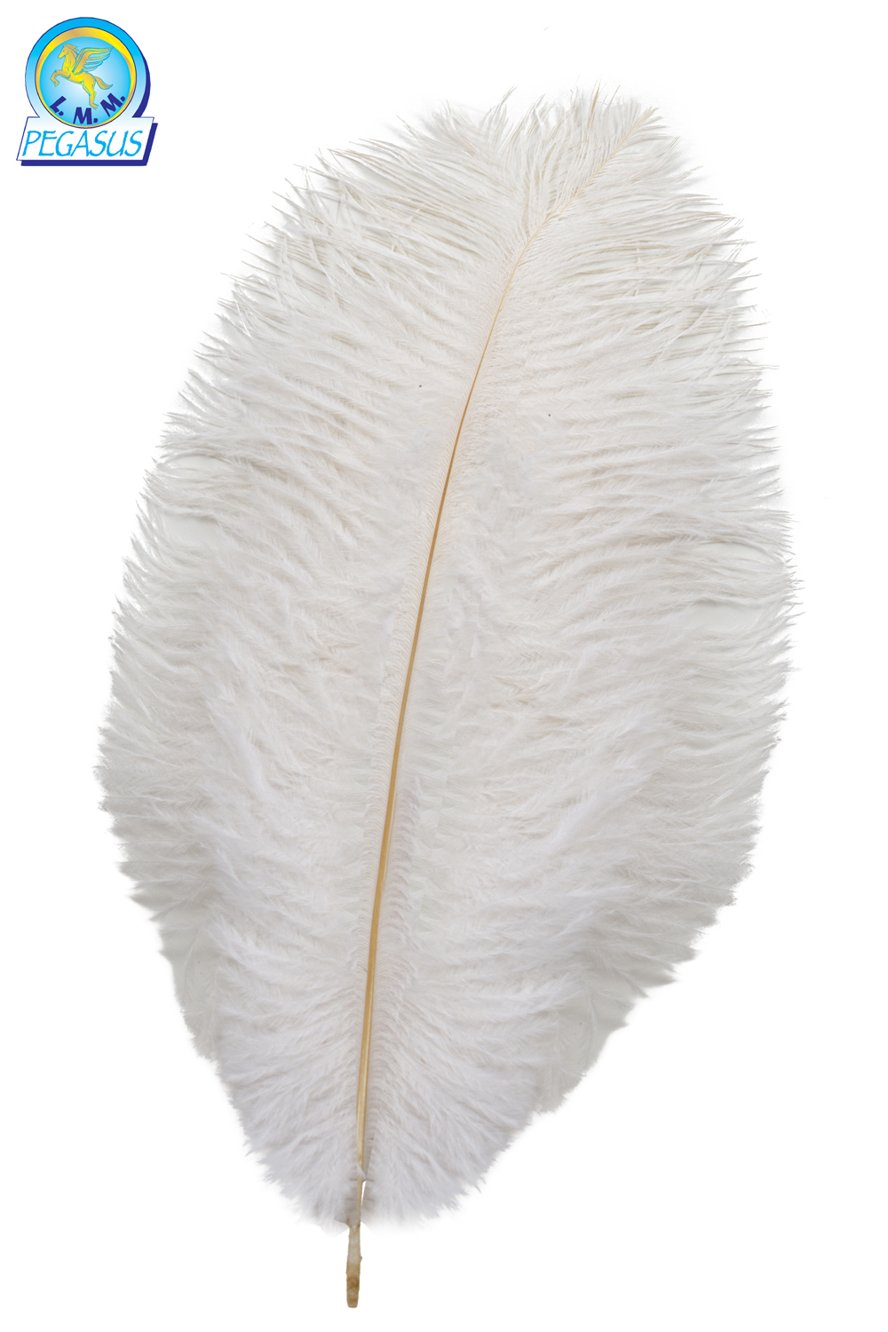 PIUMA BIANCA 30 CM